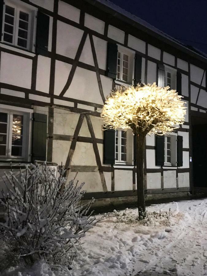 Sonnige Fachwerkwohnung Alfter Eksteriør billede
