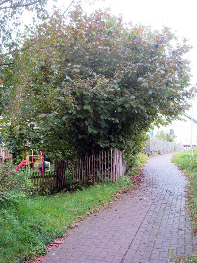Sonnige Fachwerkwohnung Alfter Eksteriør billede